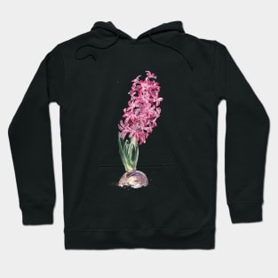 Hyacinth Hoodie